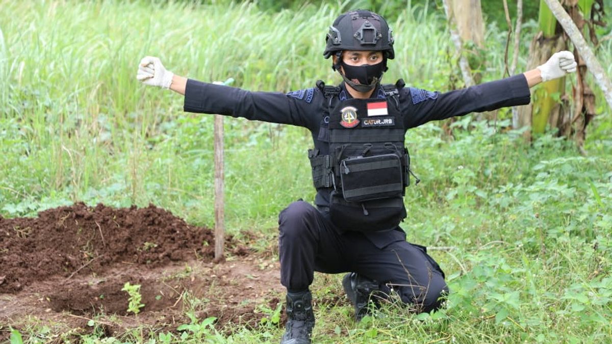 バヤン・プルウォレホの住民が家の庭を掘るときに戦闘機が残したマンゴスチン手榴弾を見つける
