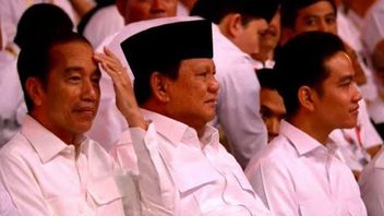 Dukungan 2 Periode: Kecemasan Jokowi, Gibran dan Relawan Ditinggalkan Prabowo