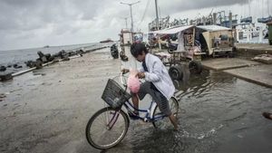 Banjir Rob yang Merendam 4 RT di Jakarta Utara Sudah Surut