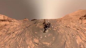 火星でNASAのロボットの自分撮りを覗く