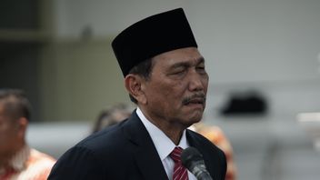 Luhut, Who Reminded The Public To Be Ready For The New Normal