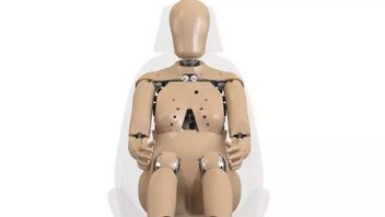 re amélioré des normes de sécurité, une nouvelle poupée d’essais conçue pour l’anatomie des femmes