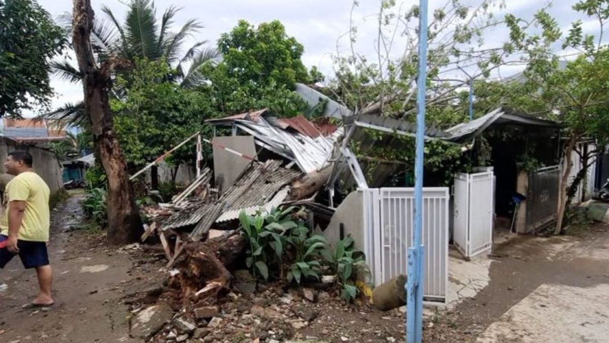 Bekasi Regency Is Hit By Wind And Wind, 5 Houses In Tambun To Babelan Are Hit By Trees