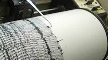 BMKG: Karakteristik Batuan Rapuh Faktor Jayapura Sebabkan Sering Terjadi Gempa
