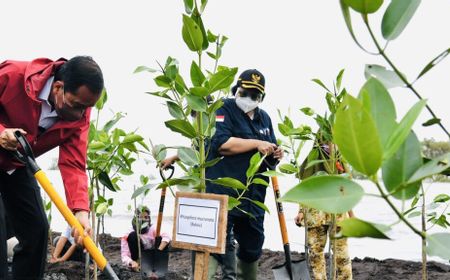 Ketika Negara Benar-benar Hadir di Pulau Bengkalis