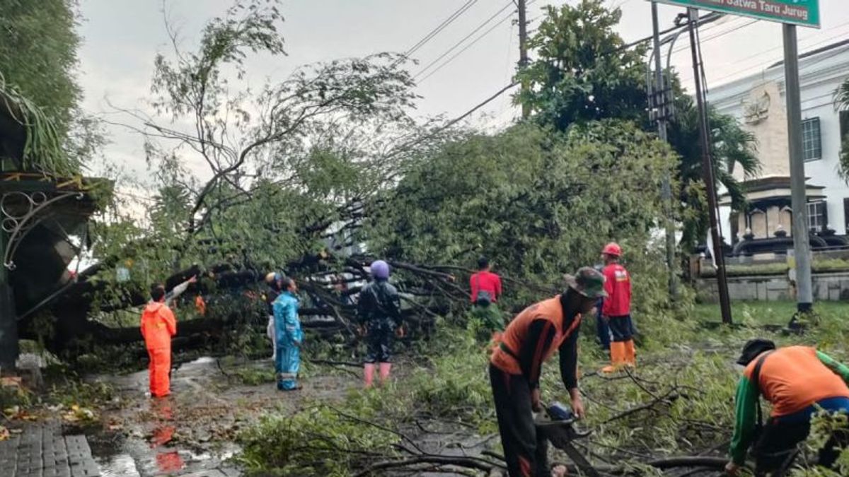 Rain And Strong Winds Hit Solo, A Number Of Cars Were Hit By Falling Trees