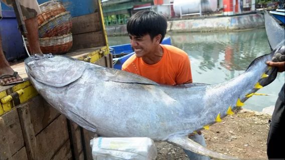 インドネシアの漁船はSPKPを発動しなければならない、とKKPは漁師の漁獲量は漁獲枠を超えないように配給されると述べた