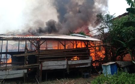 Kandang Terbakar, Puluhan Kambing di Cilincing Jakut Tewas Terpanggang