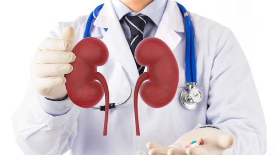 4 Ways To Detox Kidney Naturally