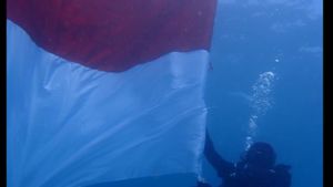 77 Penyelam Kibarkan Bendera Merah Putih di Taman Laut Pandanan Lombok