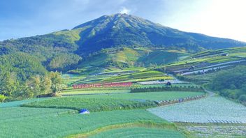 تقدير تسلق جبل سومبينغ عبر غارونغ والعديد من المسارات الأخرى