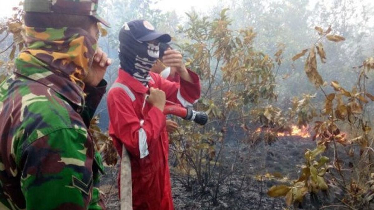 Forest Fire Potential, OKU South Sulawesi Regency Government Beware Of Dry Season
