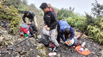 Mount Marapi Erupsi, Paksa Climbing Line 24 Officers Down 30 Climbers