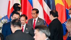 Presiden Tegaskan Situasi Myanmar Tidak Boleh Ganggu Kerja Sama ASEAN