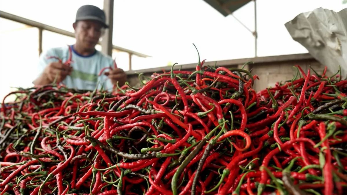 Terungkap, Ini Biang Kerok Harga Cabai Rawit Merah di Jakarta Tembus Rp130.000 per Kg