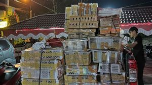 Penyelundupan 625 Ekor Burung di Pontianak Digagalkan, Ada Cucak Ijo hingga Tiong Emas