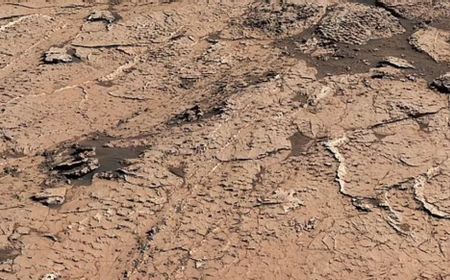 Rover Curiosity NASA Temukan Bukti Siklus Basah dan Kering di Mars yang Mendukung Kehidupan