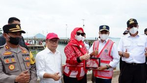 Menhub Budi Karya Kunjungi Bangka Selatan Meninjau Pelabuhan Sadai