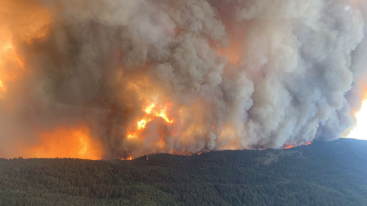 カナダ、ブリティッシュコロンビア州での大規模森林火災に備え軍の派遣を計画