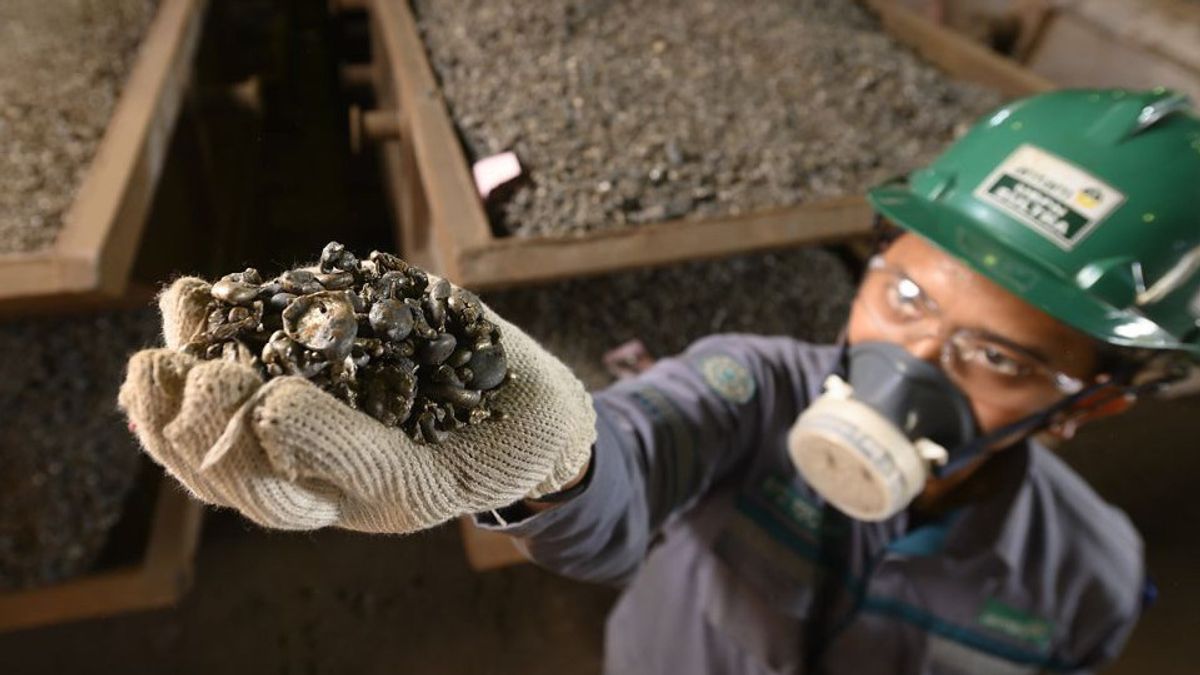 Nikel entrant à Simbara, le patron d’Antam Pede gère les mines pour rendre plus facile