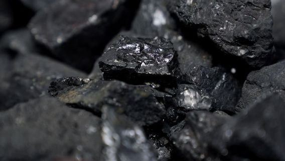 The Formation Of The Coal MIP Is In The Hands Of The Coordinating Ministry For Maritime Affairs