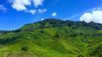 ماليزيا تهيمن على أفضل خط صعودي في جنوب شرق آسيا