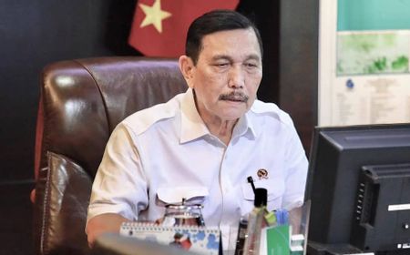 Luhut: Mau Cepat Atasi COVID-19? Tiru Saja Jerman dan Taiwan