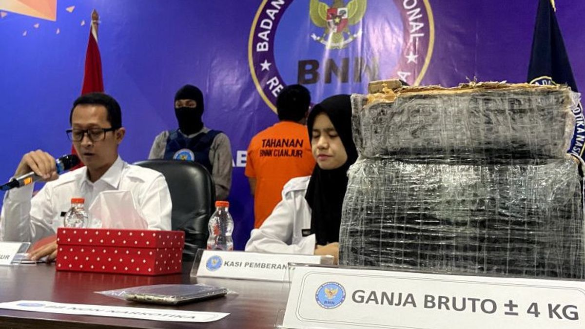 Sebar Anggotanya ke Kantor Ekspedisi di Cianjur, BNN Tangkap Kurir dan 4 Kg Ganja dari Sumut