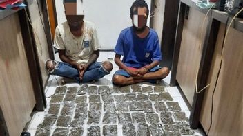 Polisi Amankan 2,8 Kg Ganja di Perbatasan RI-PNG, 2 Orang Ditangkap
