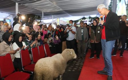 Ganjar Kolaborasikan Peternak dan Mahasiswa Kembangkan Domba Batur di Dieng