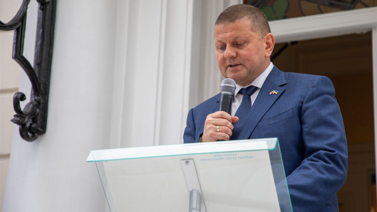 Mantan Panglima Militer Ukraina Sebut AS "Menghancurkan" Tatanan Dunia
