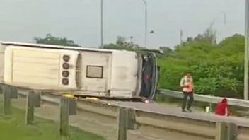 Sopir Hilang Kendali Penyebab Bus Handoyo Terbalik di Tol Cipali Tewaskan 12 Orang Diamankan