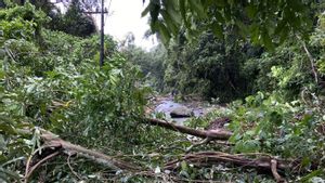 Akses ke Pantai Iboih Sabang Tertutup Longsor, Wisatawan Bisa Tempuh Jalur Alternatif