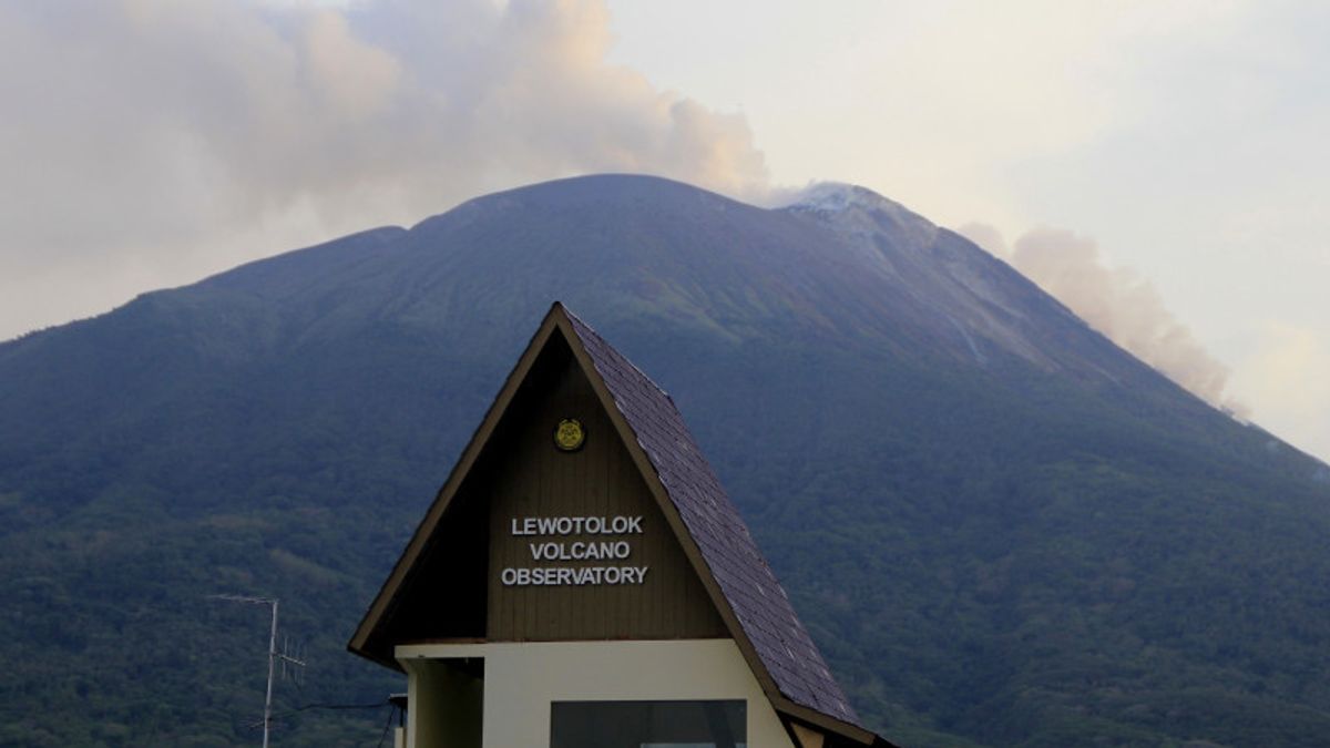 Gunung Ili Lewotolok Erupsi dengan Tinggi Kolom Abu 800 Meter
