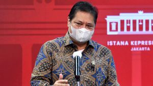 Kabar Gembira dari Airlangga, Menko Perekonomian Ini Dipercaya Jokowi Pimpin Presidensi Indonesia di G-20 Tahun Depan