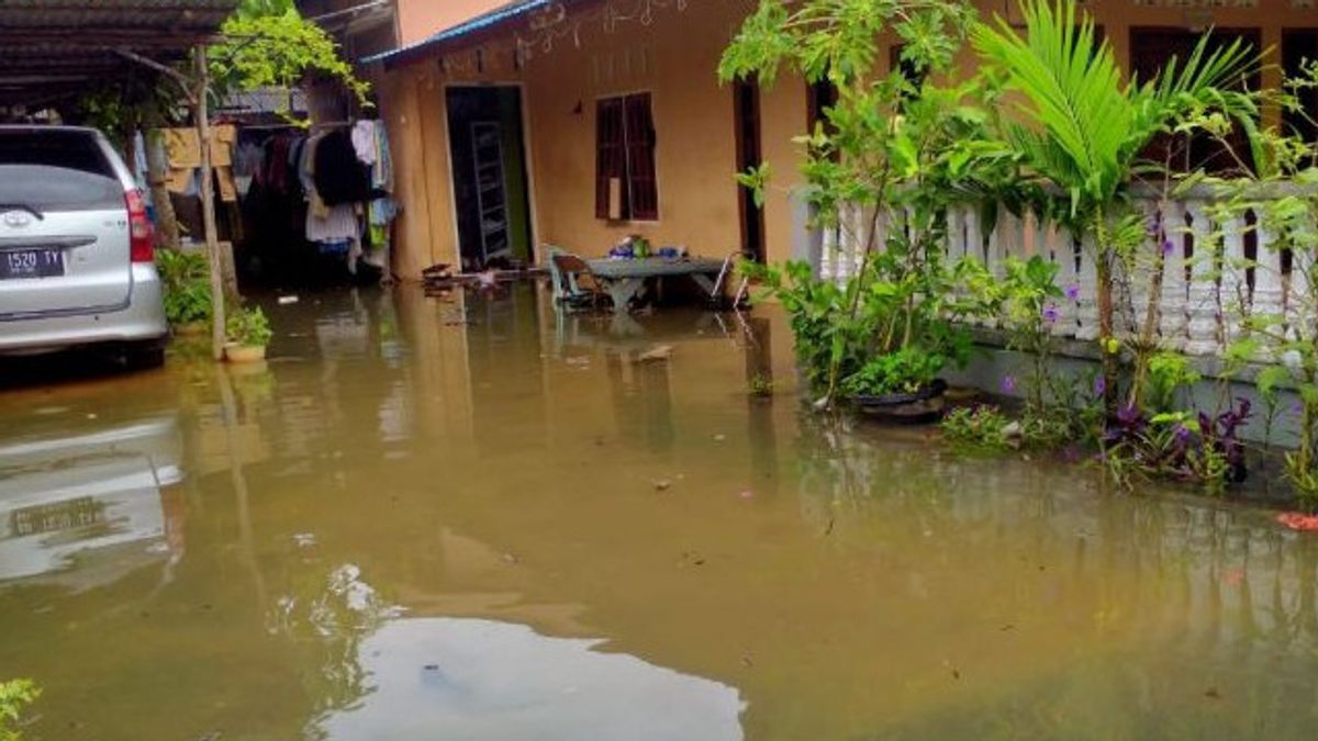 If Pasang Air Laut Rises, Riau Islands Residents SHOULD Be Alert To The Emergence Of Poasible Snakes