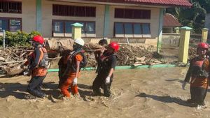 Basarnas Aceh Fokus Tangani Warga Terjebak Banjir Tak Bisa Diakses Jalur Darat