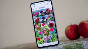 Google Photos Perbaiki Bug Crop, Editing Kini Lebih Akurat dan Stabil