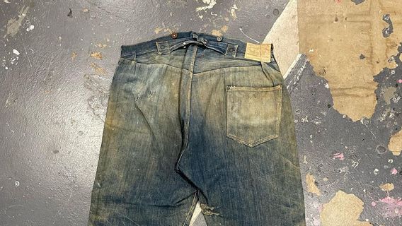 19世纪的Levi's Jeans在一个废弃的矿井中被发现，售价超过13亿印尼盾