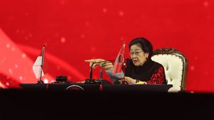 Megawati Tegaskan Pilkada Lewat DPRD Bentuk Kemunduran Demokrasi