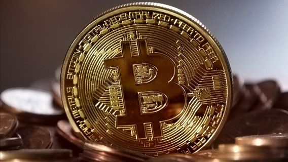 Orang Tua Ini Terjerat Penipuan Bitcoin Senilai Rp7,8 Miliar, Begini Nasibnya Sekarang