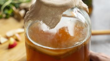 Kombucha和Kefir,哪一个更好地保持健康的常肠?