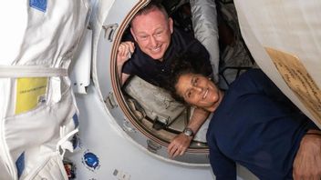 NASA Astronauts Stuck In Space Due To Boeing Aircraft Problems, Facing High Radiation Exposure