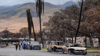 拜登总统访问夏威夷森林火灾受害者:我们和你在一起