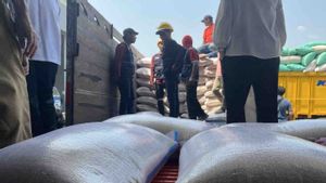Bulog Optimistic Absorb 600 Thousand Tons Of Rice From Farmers In May 2024
