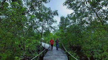 拉努德RSA 纳土纳捐赠五公顷土地,用于修复廖内群岛红树林