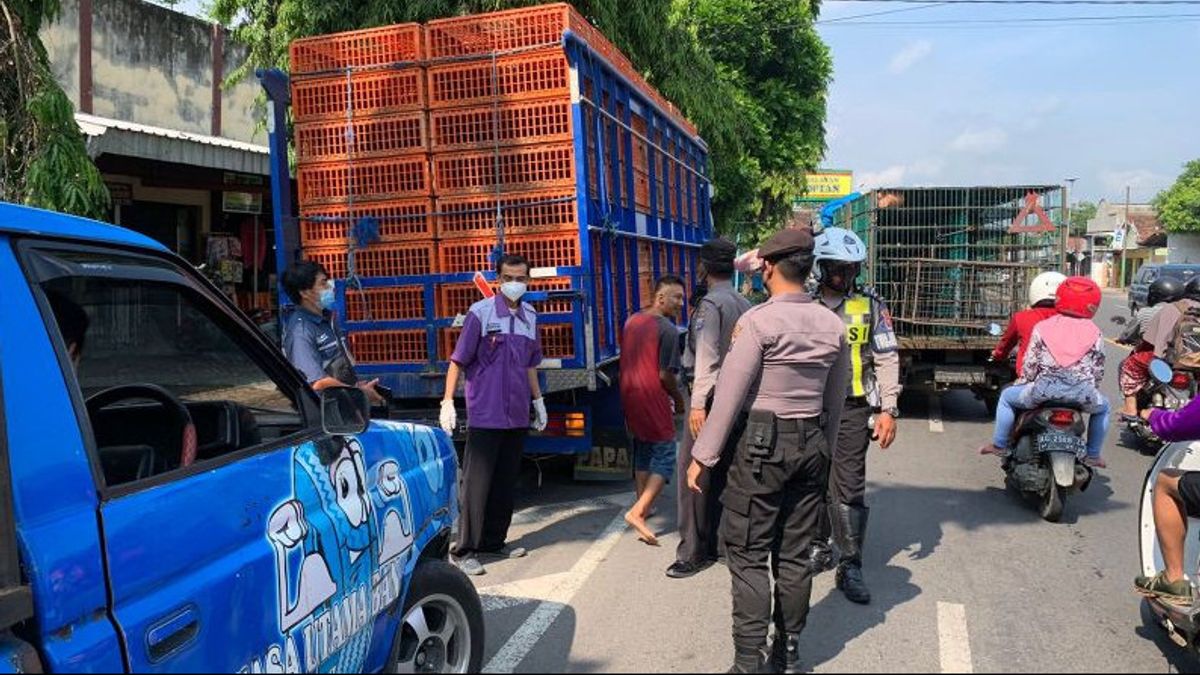 Polisi Gelar Penyekatan Jalur Distribusi Ternak Antisipasi PMK