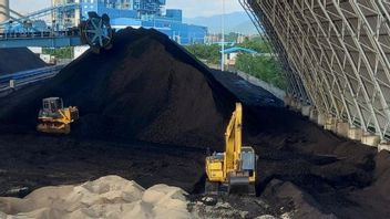 地区政府Jeneponto和PLN加工玉米废物成为燃煤电厂的共燃料