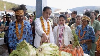 Jokowi « Père De La Papouasie », Considéré Comme La Clé De La Résolution Des Conflits