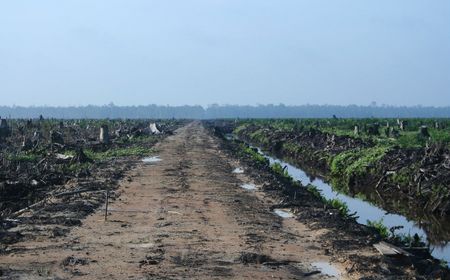 Sepakat Kerja Sama Atasi Perubahan Iklim, China-AS: Kurangi Emisi Metana, Lindungi Hutan